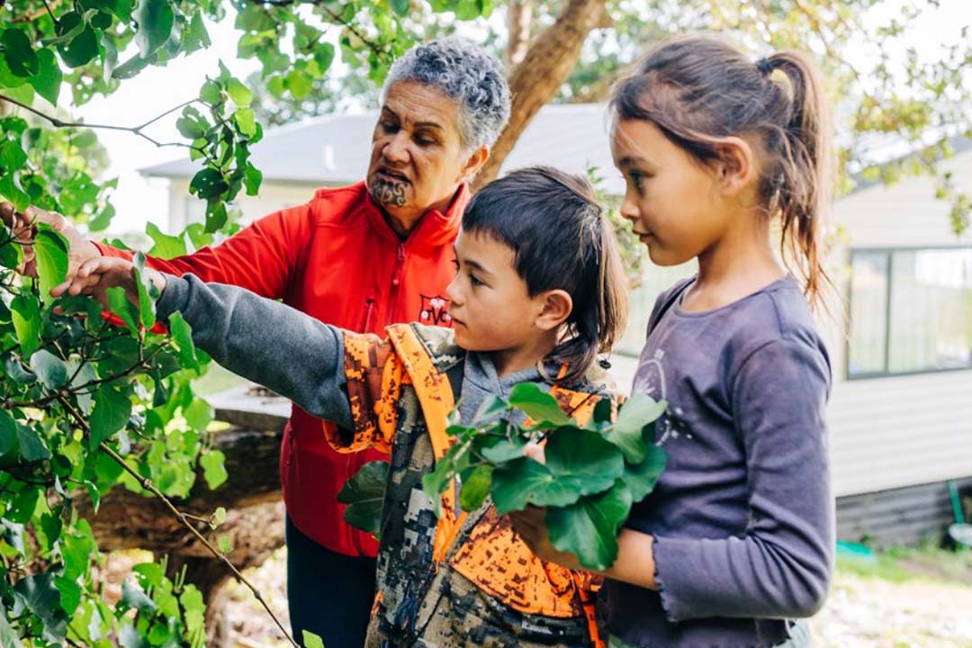 two kids and their grandma gardening